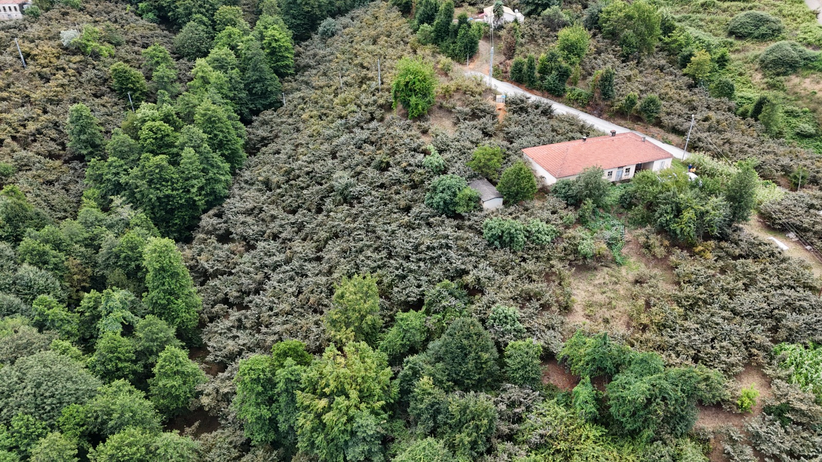 MABEL GAYRİMENKUL/ VAKFIKEBİR/ KÖREZ MAH 2.774 m2 MÜSTAKİL ARSA